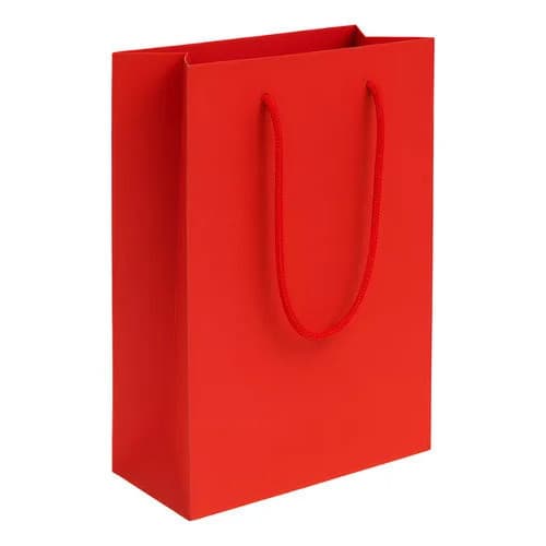 10 Sacolinha Papel Lisa 25x17x6 Lembrancinha Brinde Presente
