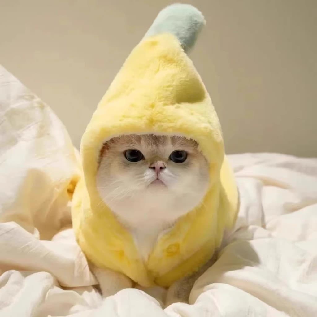 Roupas de gato engraçado Banana transformação roupas outono inverno forro de lã engrossado Muppets inglês curto azul gat