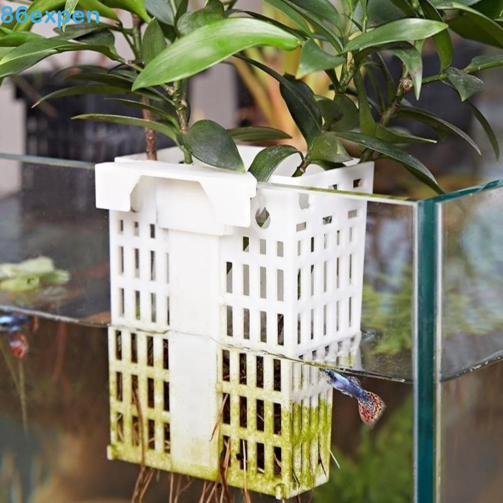 EXPEN1 Suporte Para Plantas Aquáticas , De Aquário Com Gancho Extensível De Plástico , Plantador Versátil Tanque De Peix