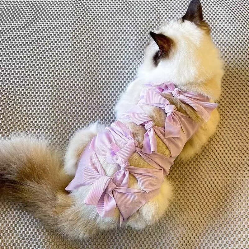 Gato roupas de esterilização feminino gato roupas cirúrgicas roupas de enfermagem respirável roupas de desmame masculino