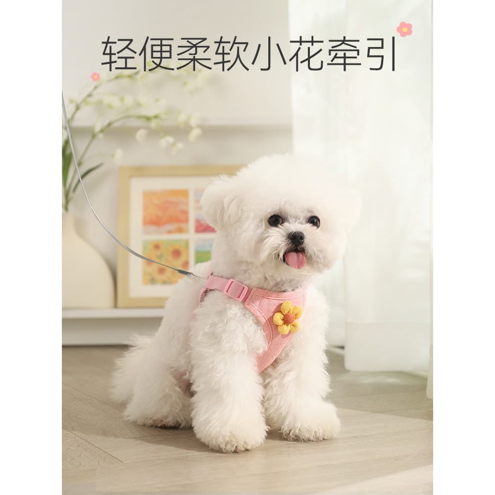 Coleira para cachorro com alça peitoral, coleira para cachorro de estimação, Bichon, pomerânia, coleira para cachorro pe