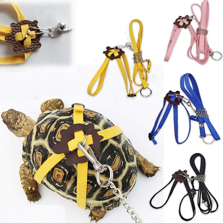 Conjunto De Trela Ajustável Para Tartaruga , Colete De Caminhada Multicolorido Chumbo Ao Ar Livre Répteis