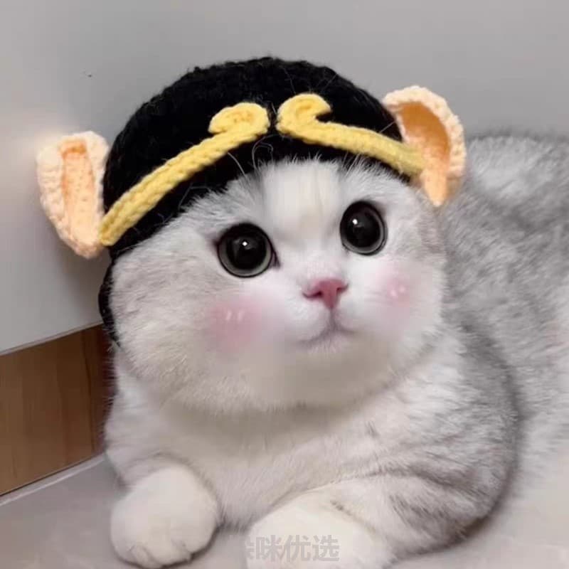 Chapéu para animais de estimação, cocar de lã de malha, gato fofo, criativo, chapéu de lã, decoração, fio, gatinho, joia