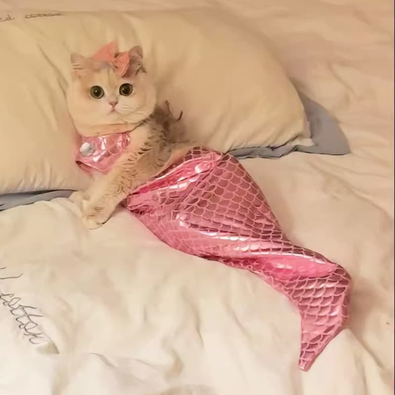 Roupas de gato sereia decoração rabo de peixe engraçado foto adereços fantasia de animal de estimação siamês Tik Tok mes