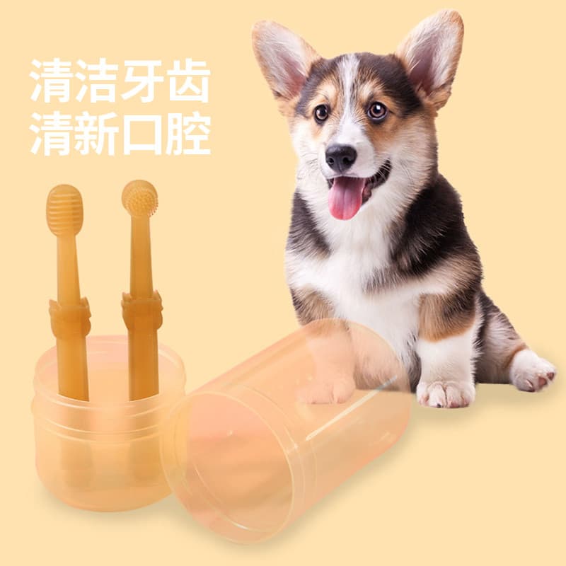Corgi Bichon Pet cão escova de dentes conjunto remover cálculo dentes limpos remover Odor remover mau hálito