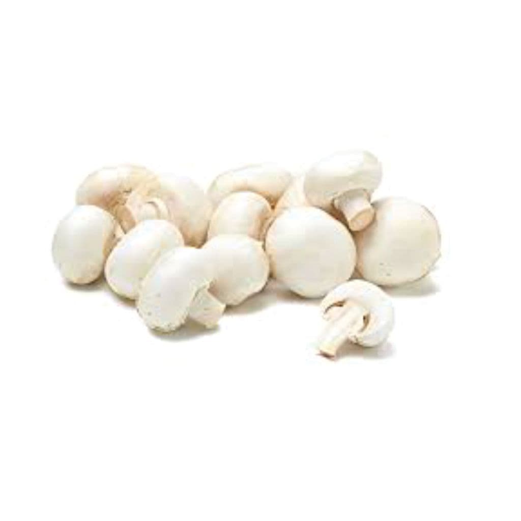 Kit de Cogumelo Champignon/Paris Frescor e Economia Total!