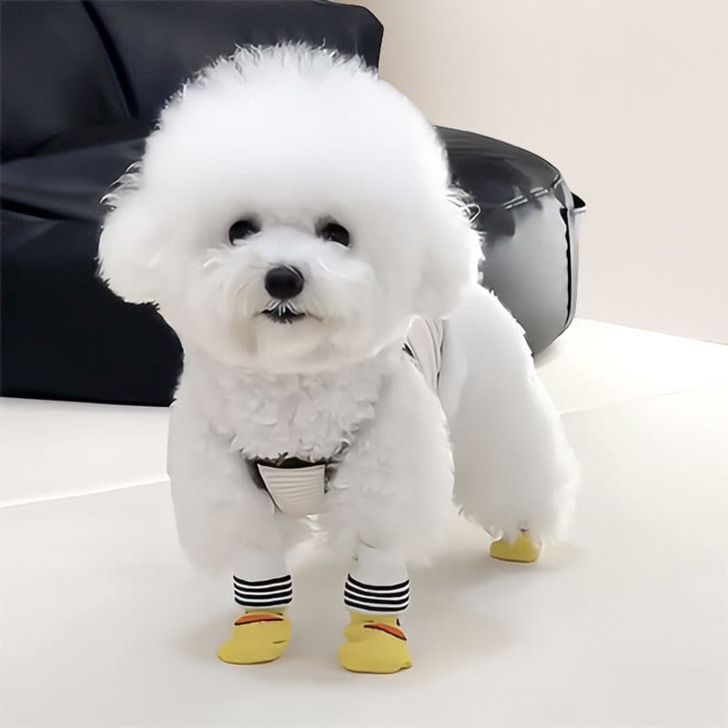 Meias para cães antiderrapantes, gatos, não cai, pés, Bichon, pelúcia, capa para pés de cachorro pequeno, anti-sujeira,