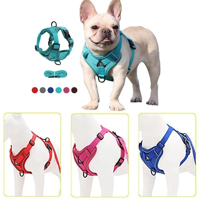 Coleira Refletiva para Treinamento de Animais de Estimação, Colete Ajustável para Filhotes, para Cães Pequenos, Chihuahu