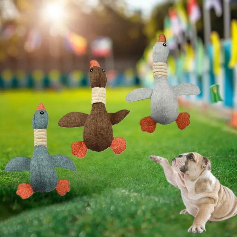 [largeloohg] Brinquedo De Cachorro Mallard Du De 30 Cm Para Mastigadores Grandes , Quebra-Cabeça De Ganso Estridente , B