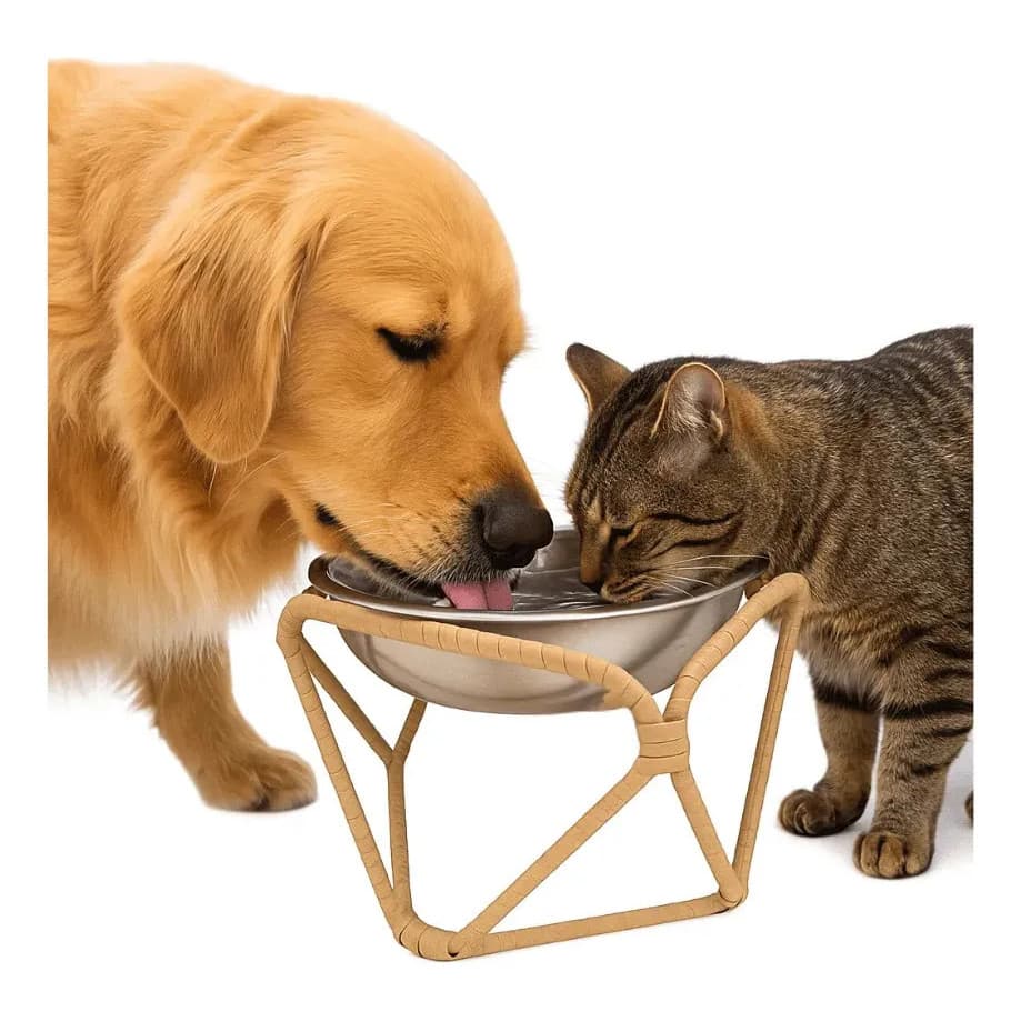 Bebedouro Pet Comedouro E Bebedouro Para Cão Ou Gato Tam G Nude