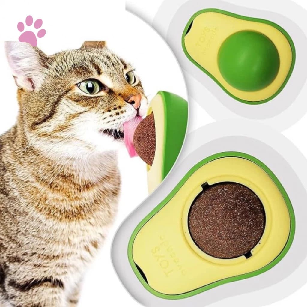 Abacate Brinquedo Para Gatos Com Catnip Erva Gato Natural Relaxante