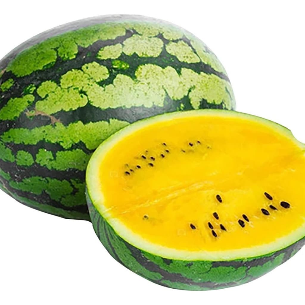 Sementes de Melancia Polpa Amarela 1000 Unid | Alta Germinação | Fruta Doce para Plantio | Hortas e Sítios