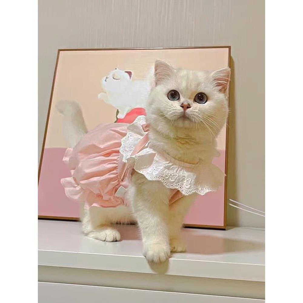 Roupas de gato verão saia fofa gatinho pequeno leite gato Anti-fiapos animal de estimação filhote de cachorro Macaron es