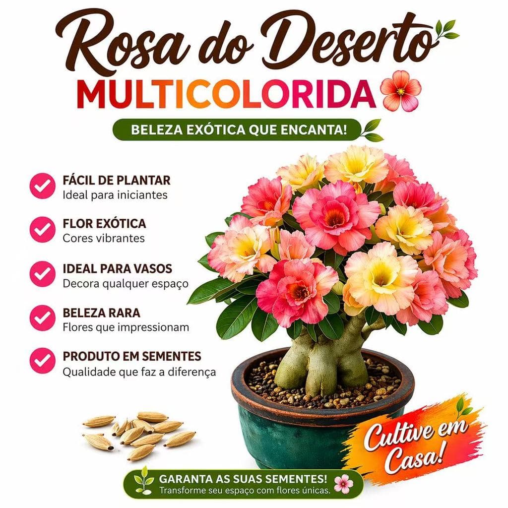 Coleção de Flores Sementes de Rosa do Deserto Multicolorida Fácil de Plantar Adenium Decorativo
