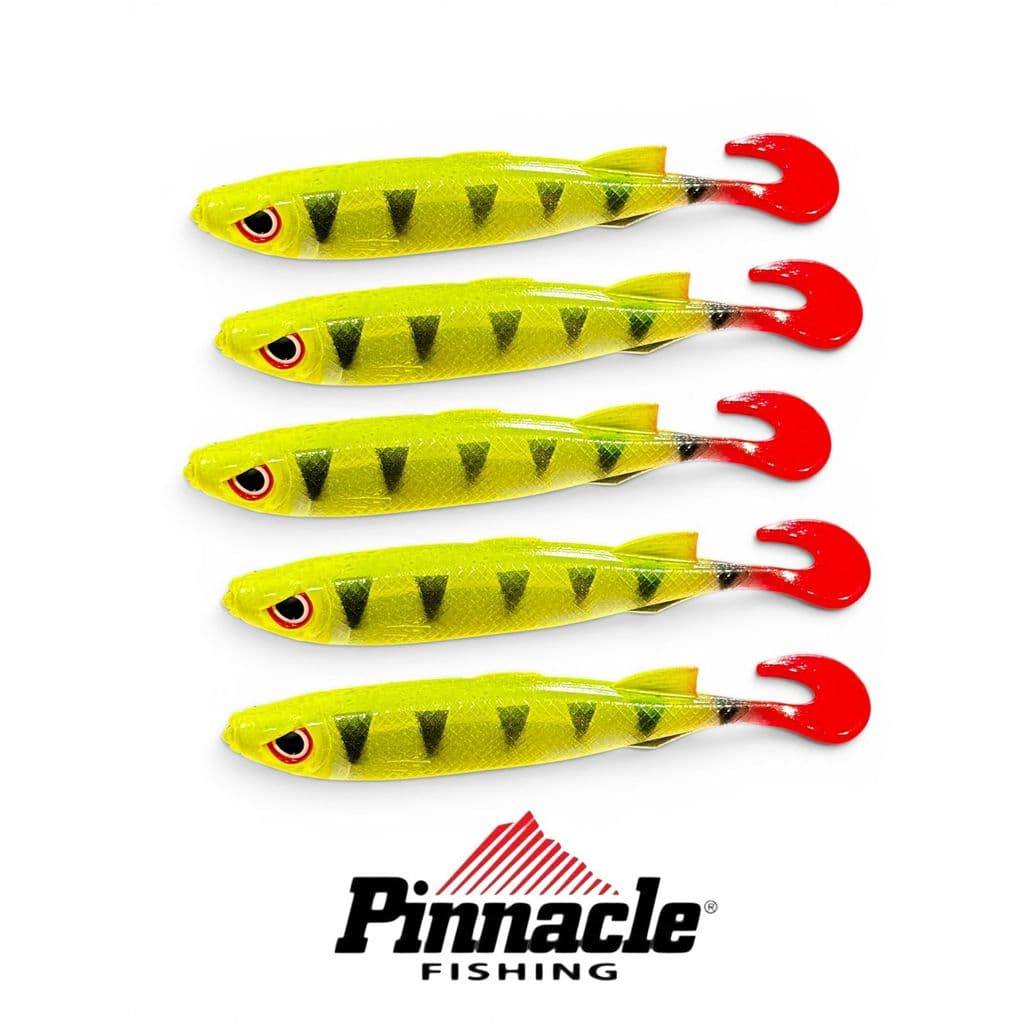Isca Soft SHAD JEJUM 110 Pinnacle - COR ARARI