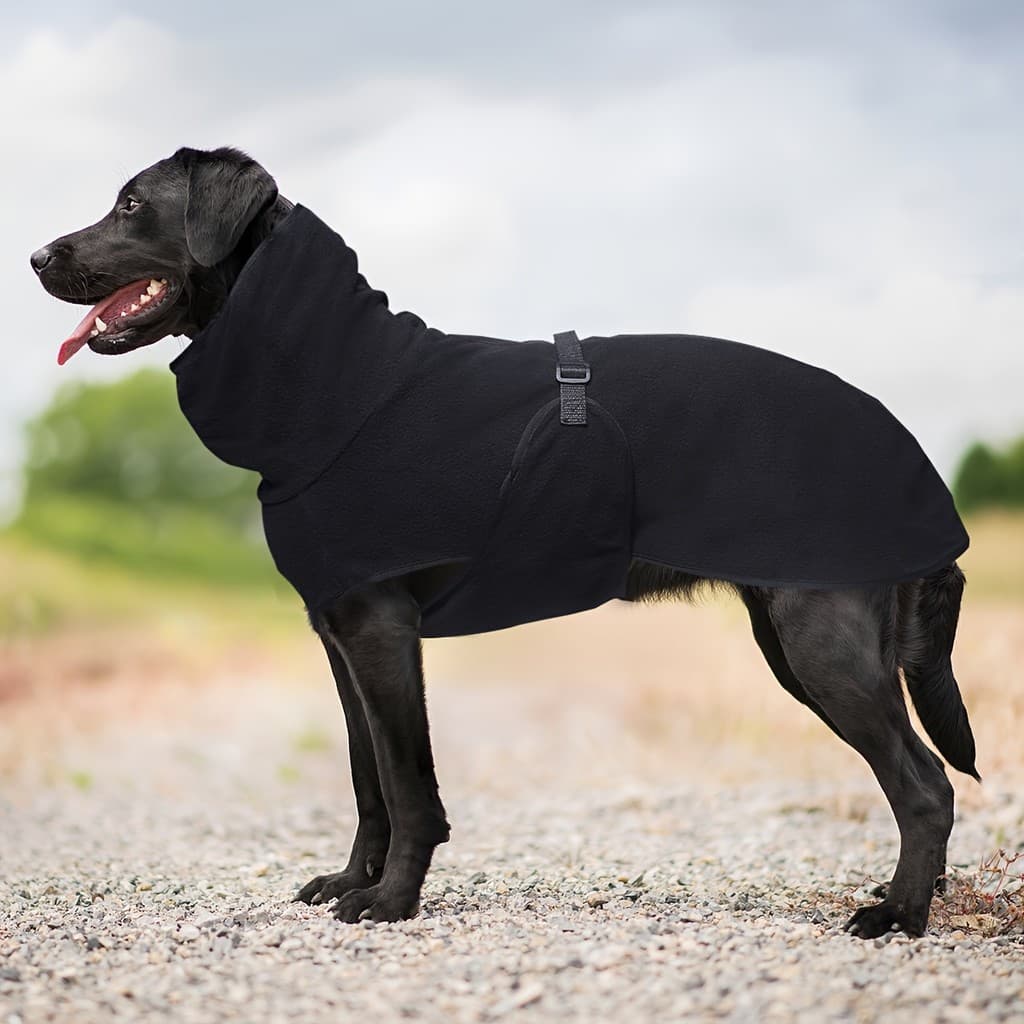 Roupas de Lã Populares, Elegantes e de Alta Qualidade, para Cães e Animais de Estimação, com Design de Fivela Ajustável,
