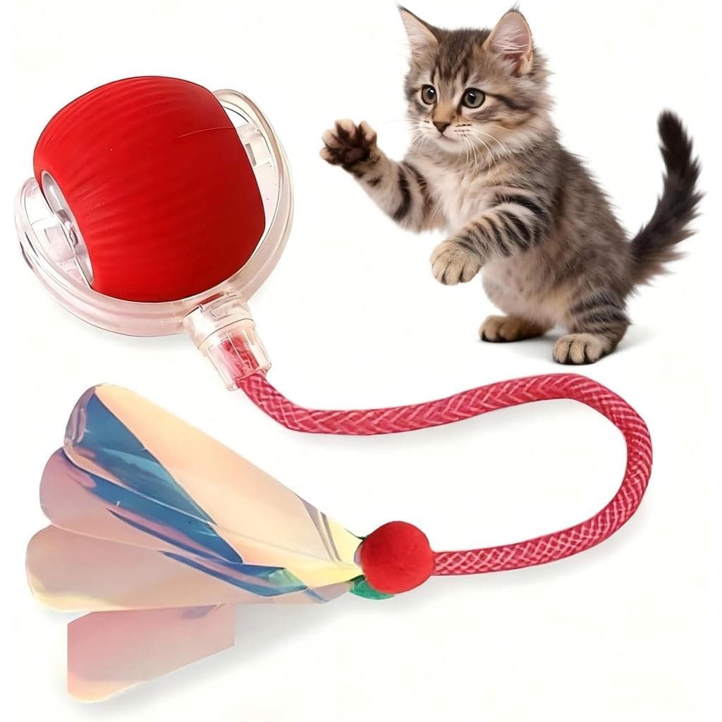 Bola Interativa JBD para Gatos de Interior - Brinquedo Elétrico Silencioso com Movimento Automático e Rolamento, Bola In