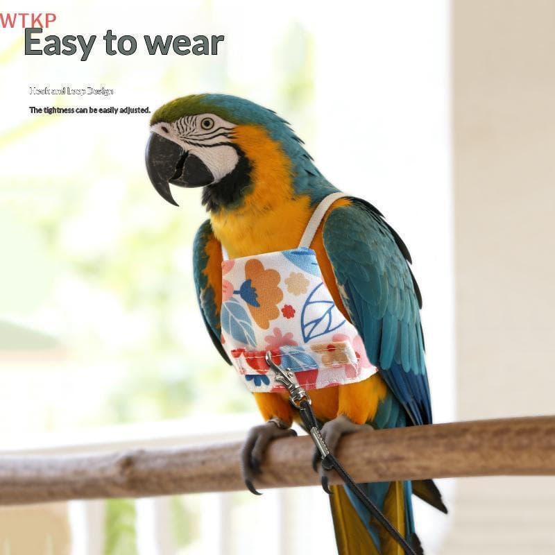Quente Animal De Estimação Papagaio Roupas Voadoras Caminhar O Pássaro Tração Corda Papagaios Ao Ar Livre Voando Decoraç