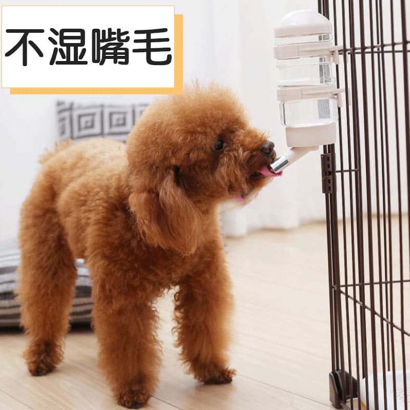 Copo de água para cães, garrafa de água suspensa, fonte automática para gatos, boca não molhada, gaiola para cães, fonte