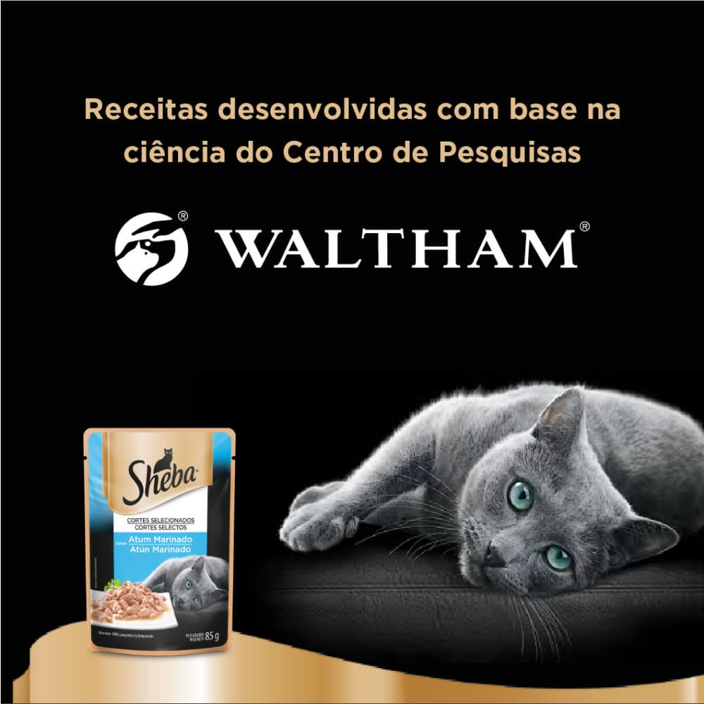 Ração Úmida Sheba Sachê para Gatos Adultos Sabor Atum Marinado 85g