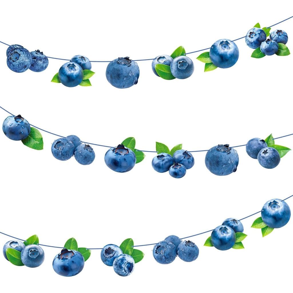 Banners de Festa de Mirtilo 3 Peças Decorações de Aniversário com Tema de Frutas Azuis Banners Recortados de Mirtilo Dec