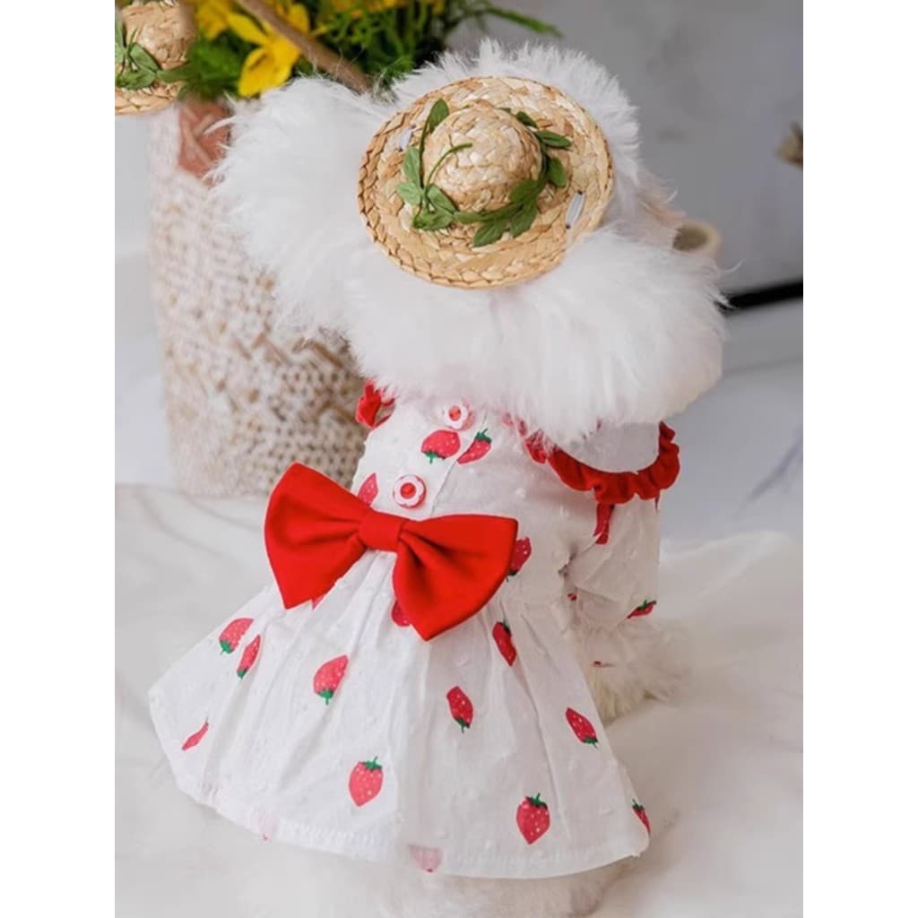 Cão de estimação gato verão novo estilo vestido de princesa Teddy Bichon Schnauzer Pomeranian impressão saia fina