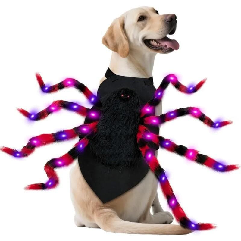Fantasia De Aranha Para Cachorro Grande , Com Luzes Roxas LED , Engraçada Cães , Animais De Estimação , Roupas De , Cosp