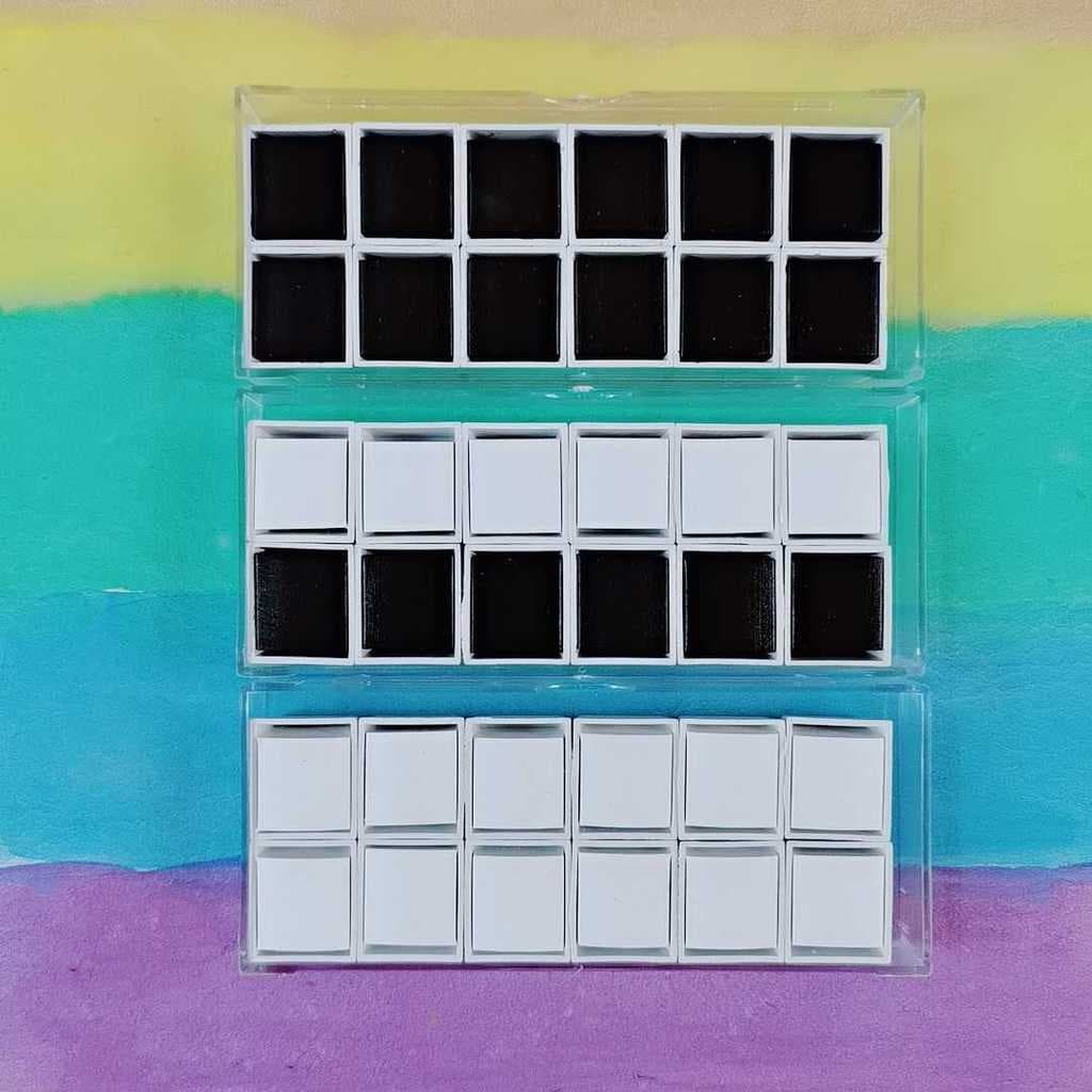 Branco sólido aquarela pintura embalagem preto branco aquarela única arte profissional pintura Manicure mancha dedicada