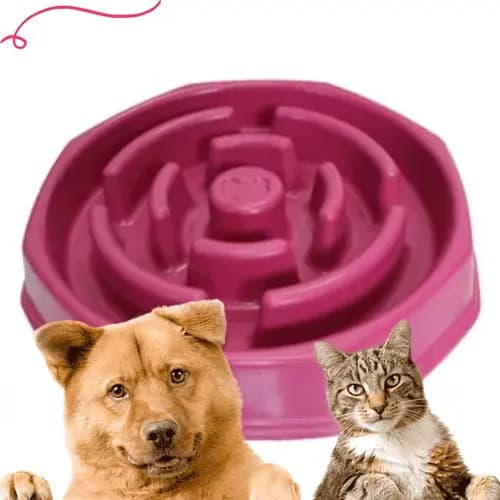 Comedouro Lento Interativo Cachorro Grande Antiderrapante 500ml Rosa