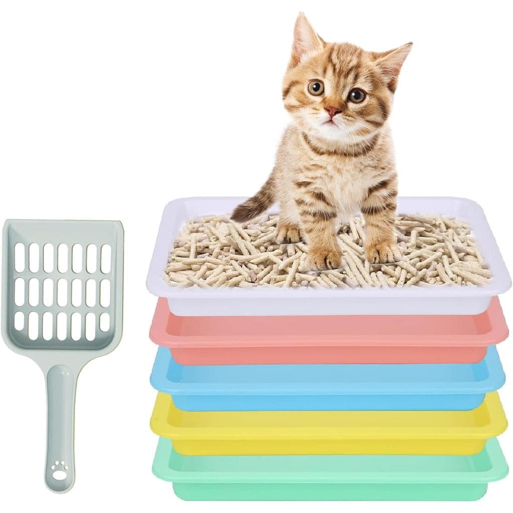 5 unidades de caixas de areia para gatinhos, caixa de areia pequena para gatos com pá coletora, bandeja de areia pequena