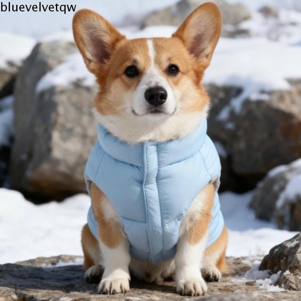 Jaqueta Para Baixo De Cachorro BLUEVELVETQW , Casaco De Algodão De Inverno Ajustável Engrossado , Roupas De Lã Com Prote