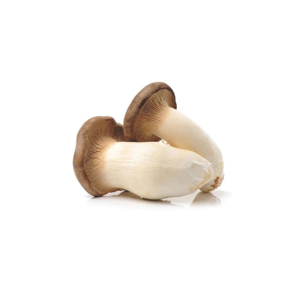 Cogumelo Pleurotus eryngii Rico em potássio