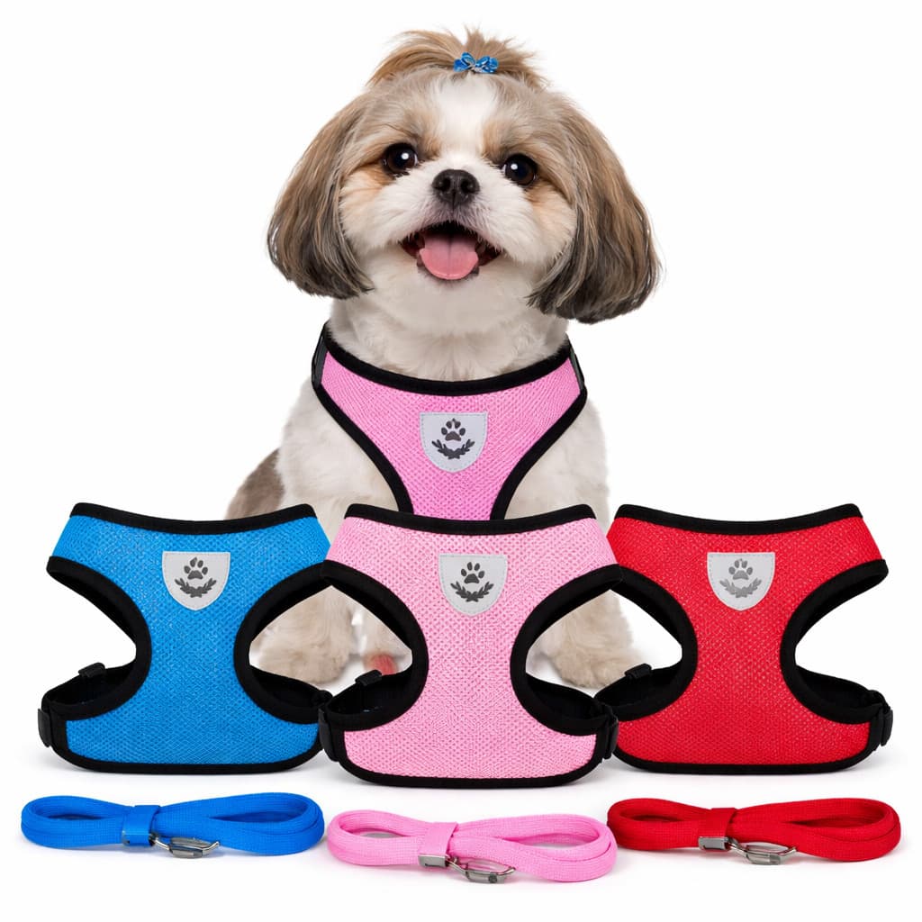 Coleira e guia para Cachorro Peitoral Pet Pequenos, filhotes cachorro gatos toy