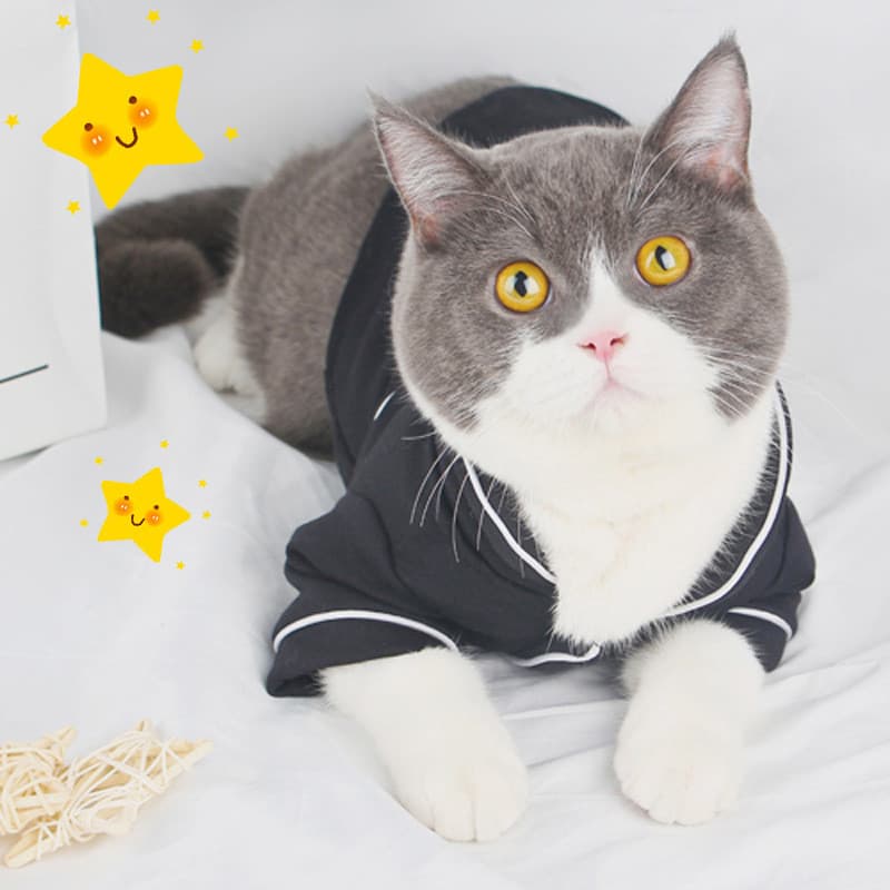 Roupas de gato pijamas para animais de estimação Teddy Pomeranian Bichon francês luta filhote de cachorro cães pequenos