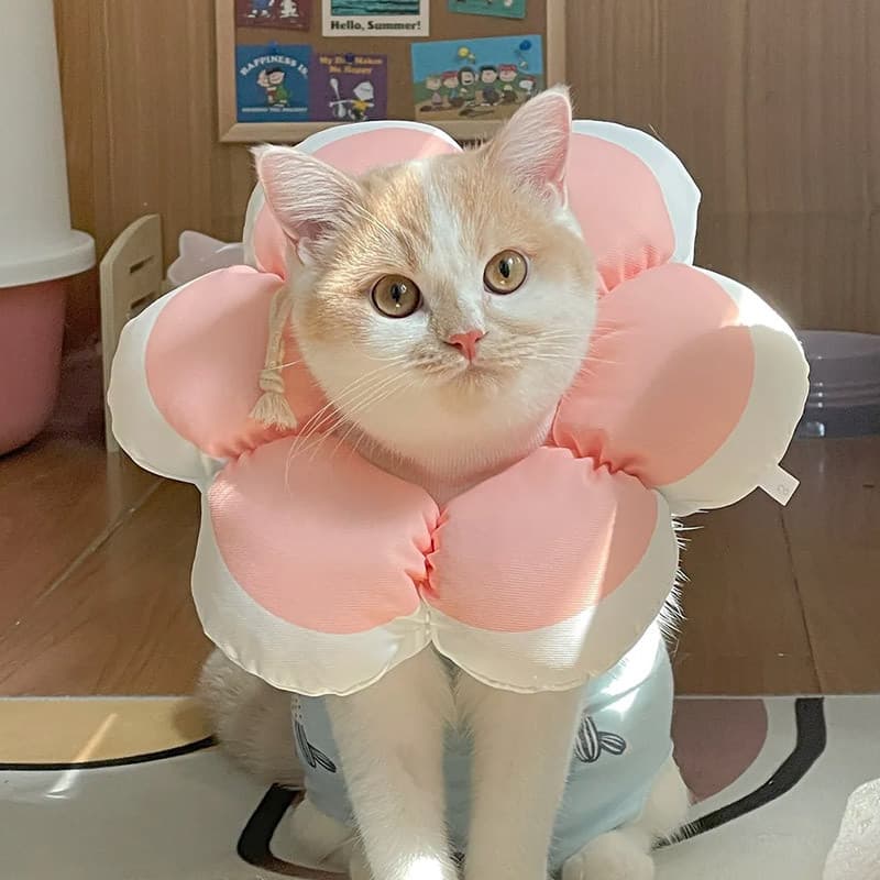 Anel Elizabeth para animais de estimação não afeta comer anel anti-lamber gatinho filhotes anel macio anti-mordida chape