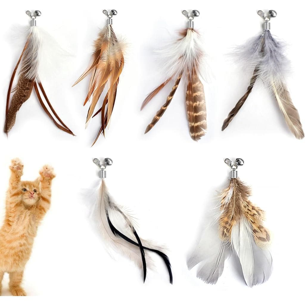 Refis de Penas para Brinquedos de Gato, Penas de Substituição para Varinha de Gato, 6 Peças, Refis de Artesanais p