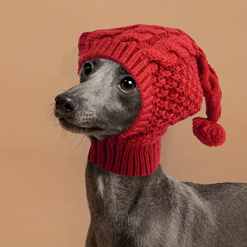 Chapéu Quente para Animais de Estimação, Chapéu para Whippet e Galgo Italiano, Chapéu Fofo para Cães