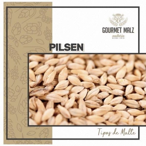 Malte Gourmet Malz Pilsen - 3 Kg