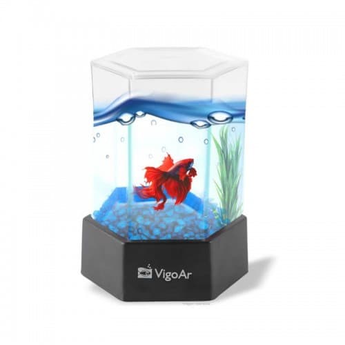 BETEIRA ACRÍLICA BETTAFLEX MINI DECOR 600ML - VIGOAR