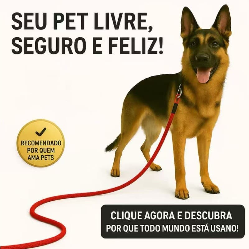 Guia De Cachorro de 1.2 Metros Corda de Poli 15 Milimetros Com Mosquetão Reforçado