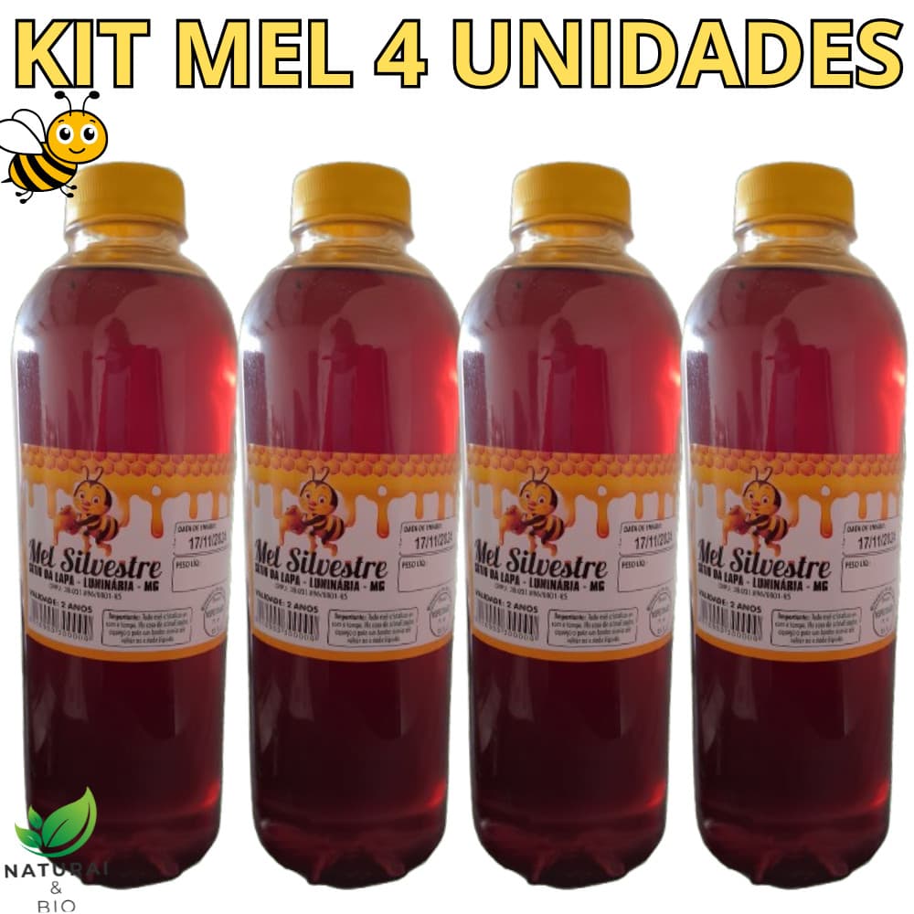 Promoção Relâmpago Kit 4 Unidades Mel Garrafa Abelha Silvestre  Composto 1,3kg Envio Imediato