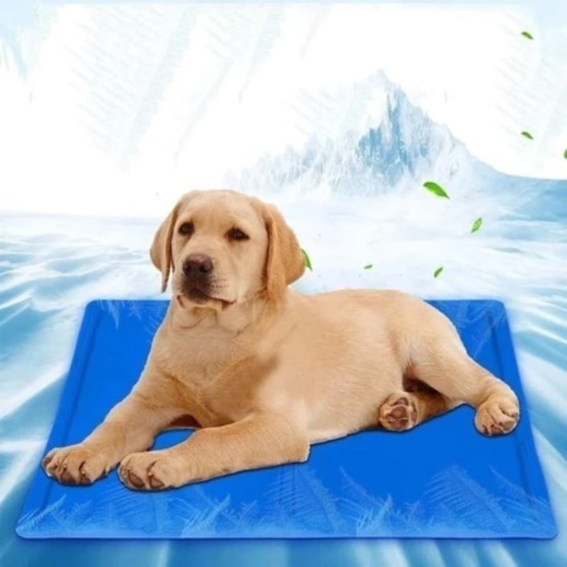 Tapete Gelado Pet Colchonete Refrescante de Gel para Cachorro e Gato Anti-Calor Verão Confortável