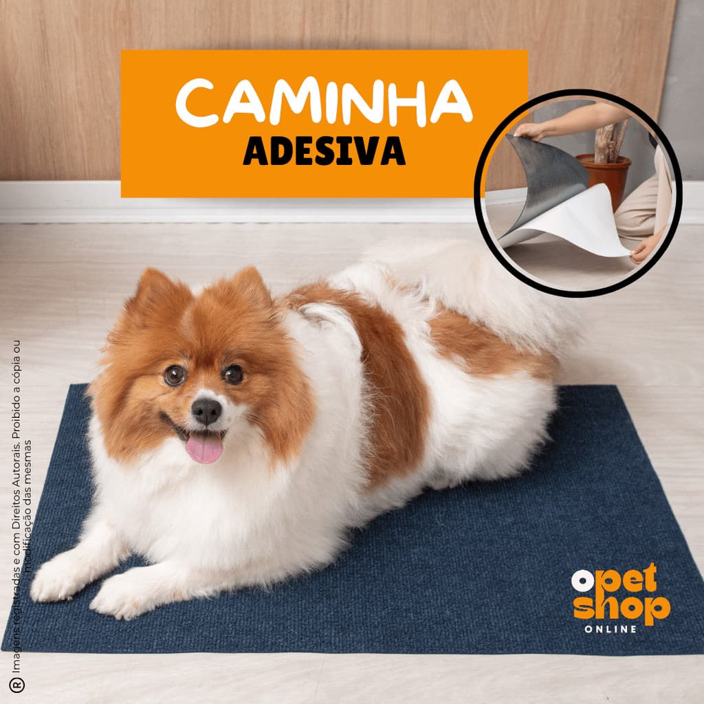 Caminha Tapete Adesivo para Cachorro – Carpete Premium Antiderrapante