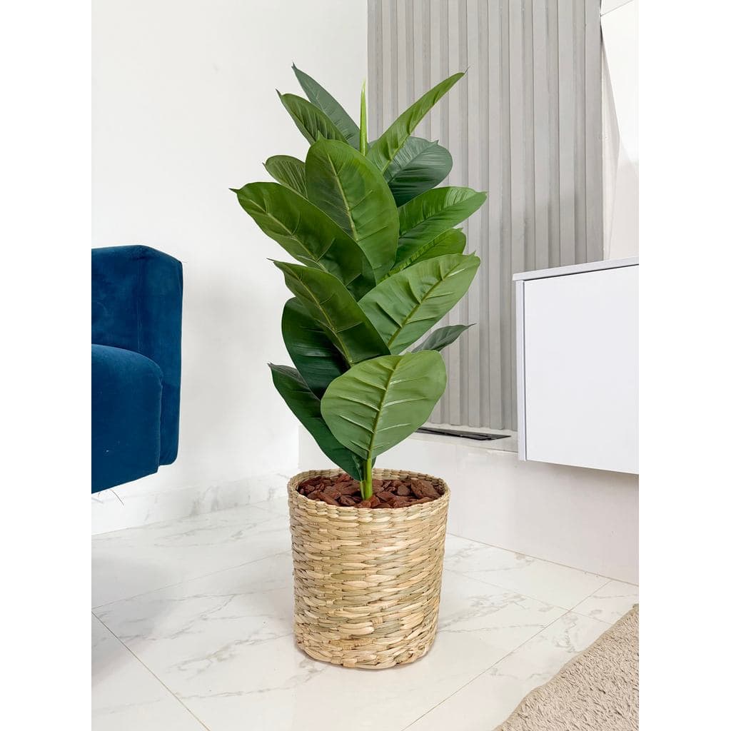 Planta Fìcus Artificial Arranjo Completo Vaso Cesto Palha