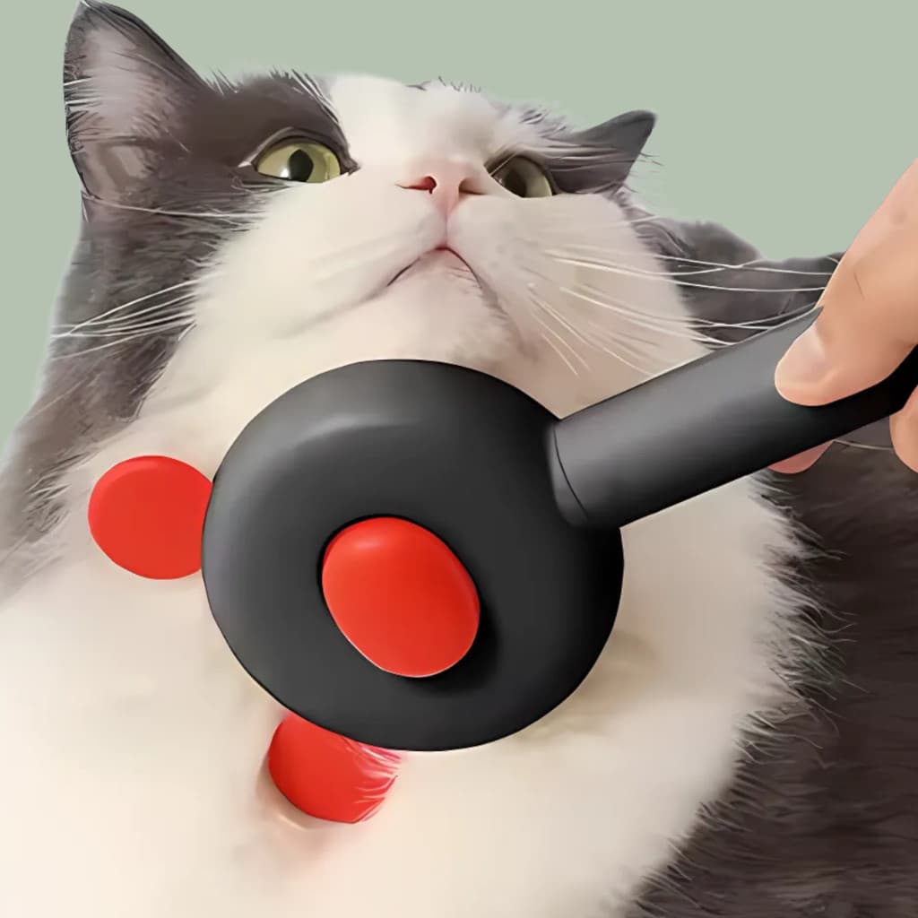 Escova Removedora Rasqueadeira Tira Pelos Automatica Pandinha Para Pets  Caes, Gatos e Coelhos