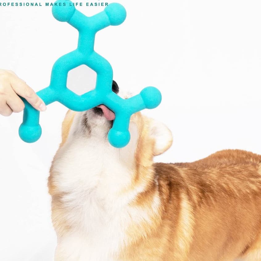 Brinquedos para cães de mordedor estimação brinquedo de espuma interativo Material TPR