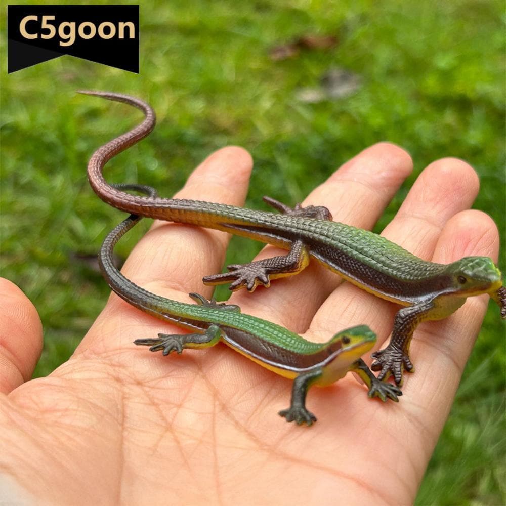 C5GOON Estátua De Lagarto Realista Verde Iguana Monitor Com Babados Exibição De Mesa Colecionável Ferramenta Educacional