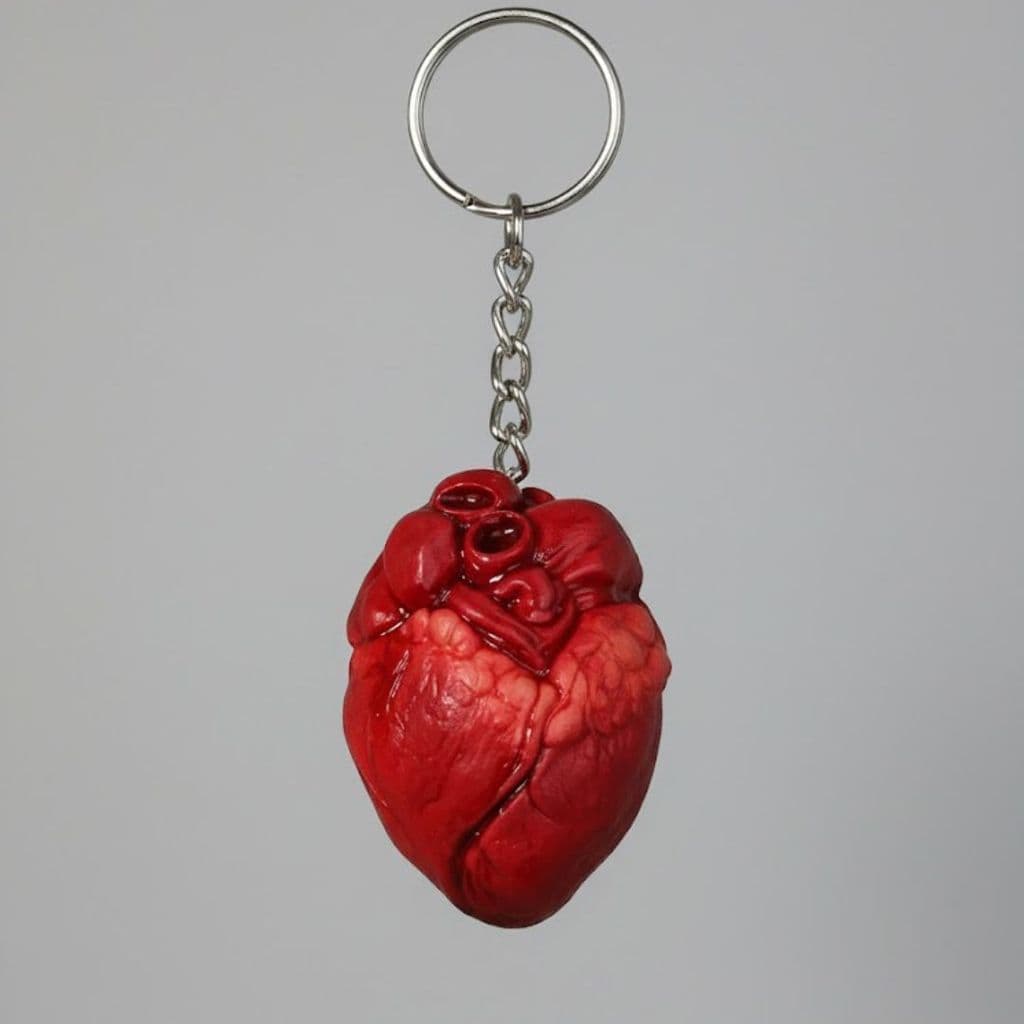 Chaveiro Coração Realista Anatomical Heart Keychain Geek Criativo Detalhado Presente Médico Anatomia