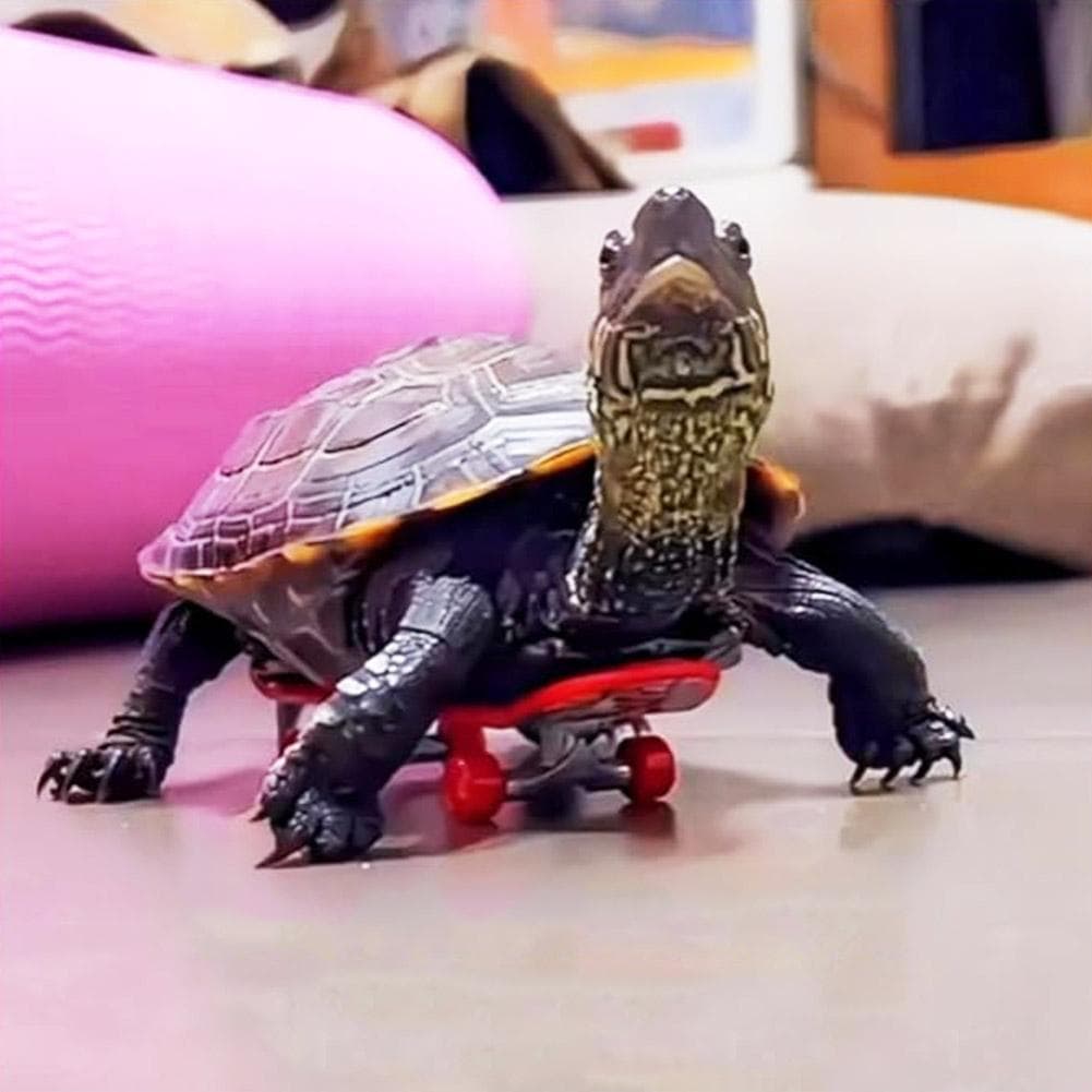 Skate De Tartaruga , Mini Para Com Almofada Antiderrapante , Brinquedos V4M7
