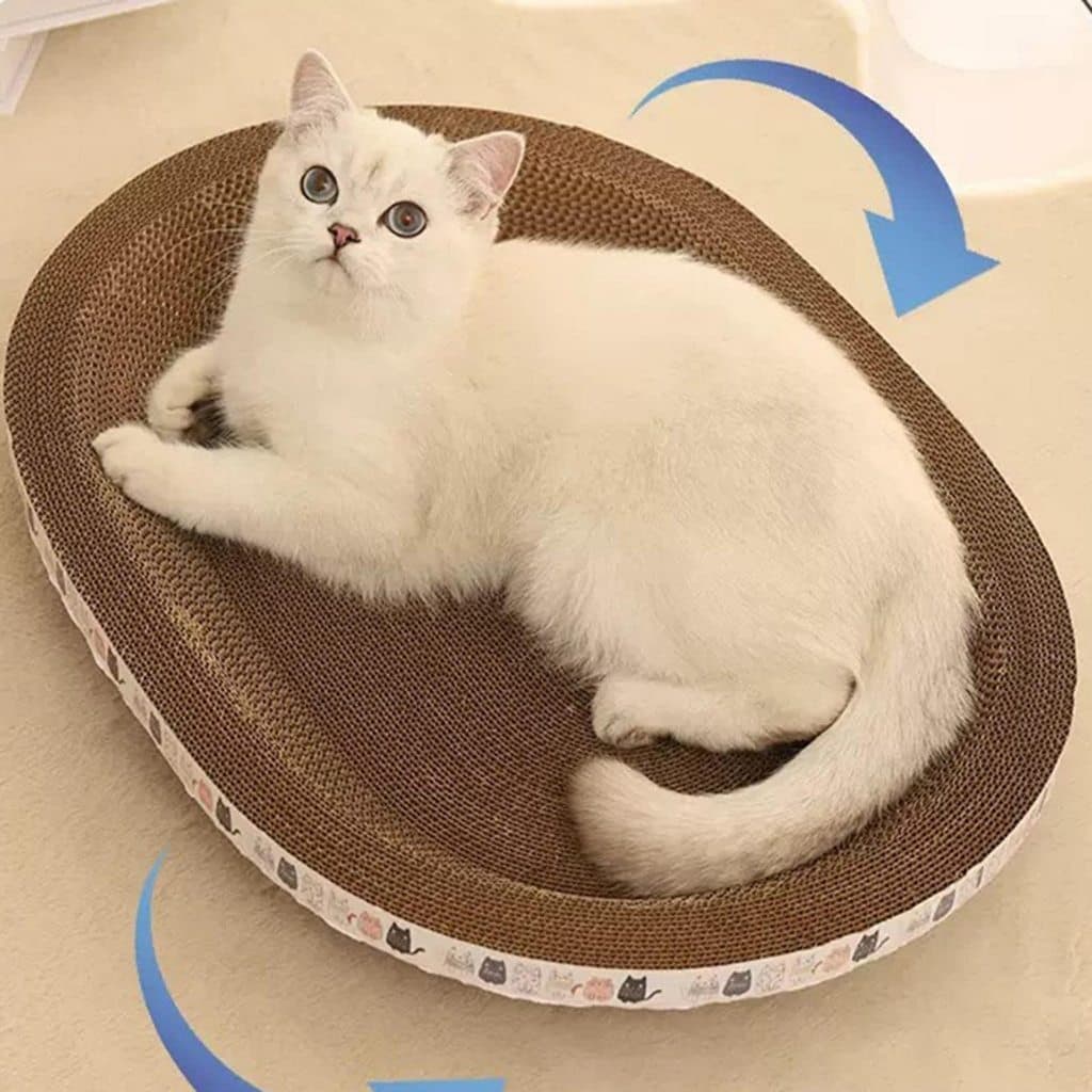 Arranhador e Cama 2 em 1 Papelão Para Gato Brinquedo